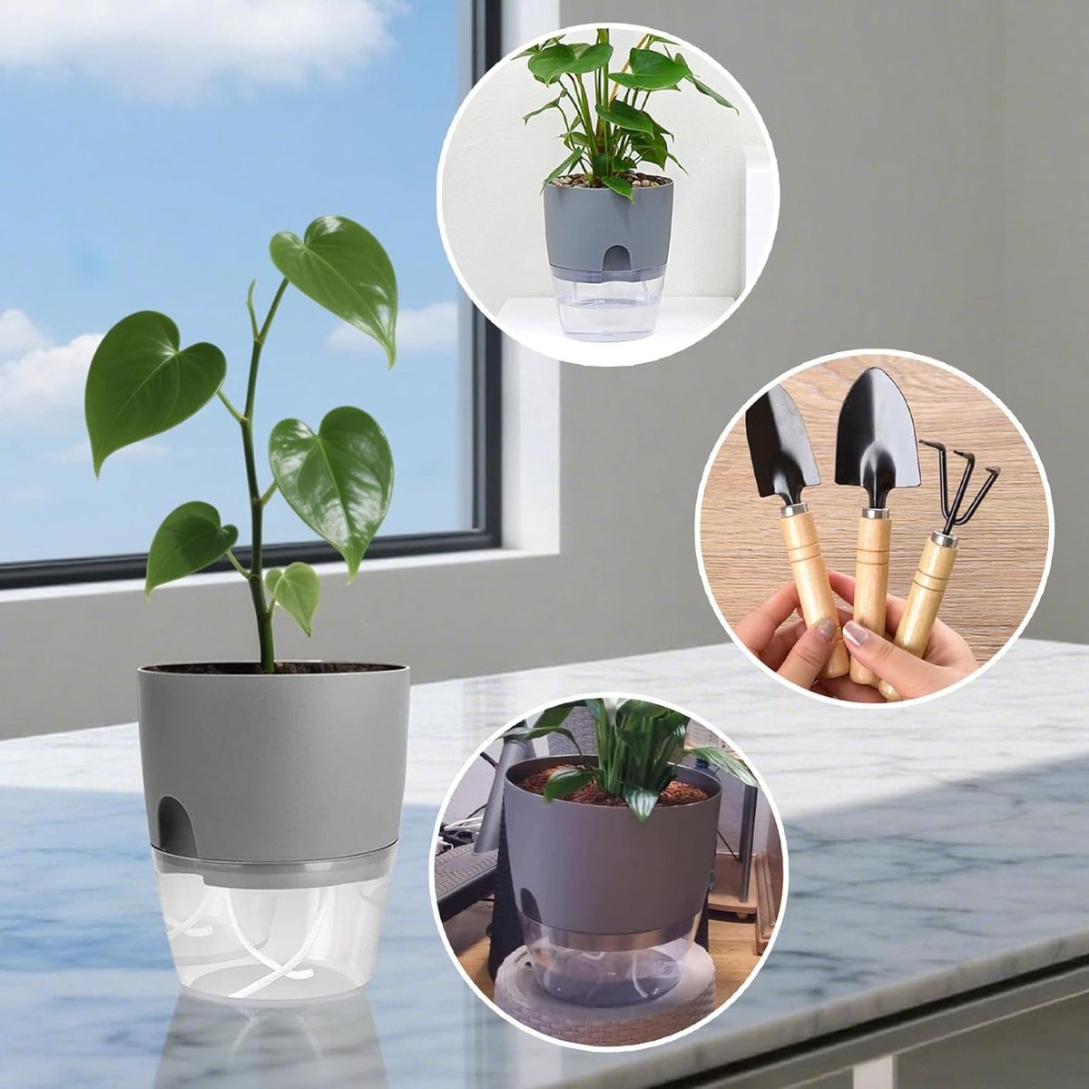 Zelfbewaterende Bloempot - Keukenset voor Kruiden en Planten met Automatisch Bewateringssysteem (Zwart) — cadeau in Wonen & Interieur - foto 2