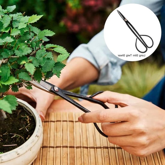 Bonsai boomset 24-delige bonsai gereedschapset van hoogwaardig koolstofstaal, inclusief snoeigereedschap voor vetplanten. van Merkloos	 — afbeelding 5