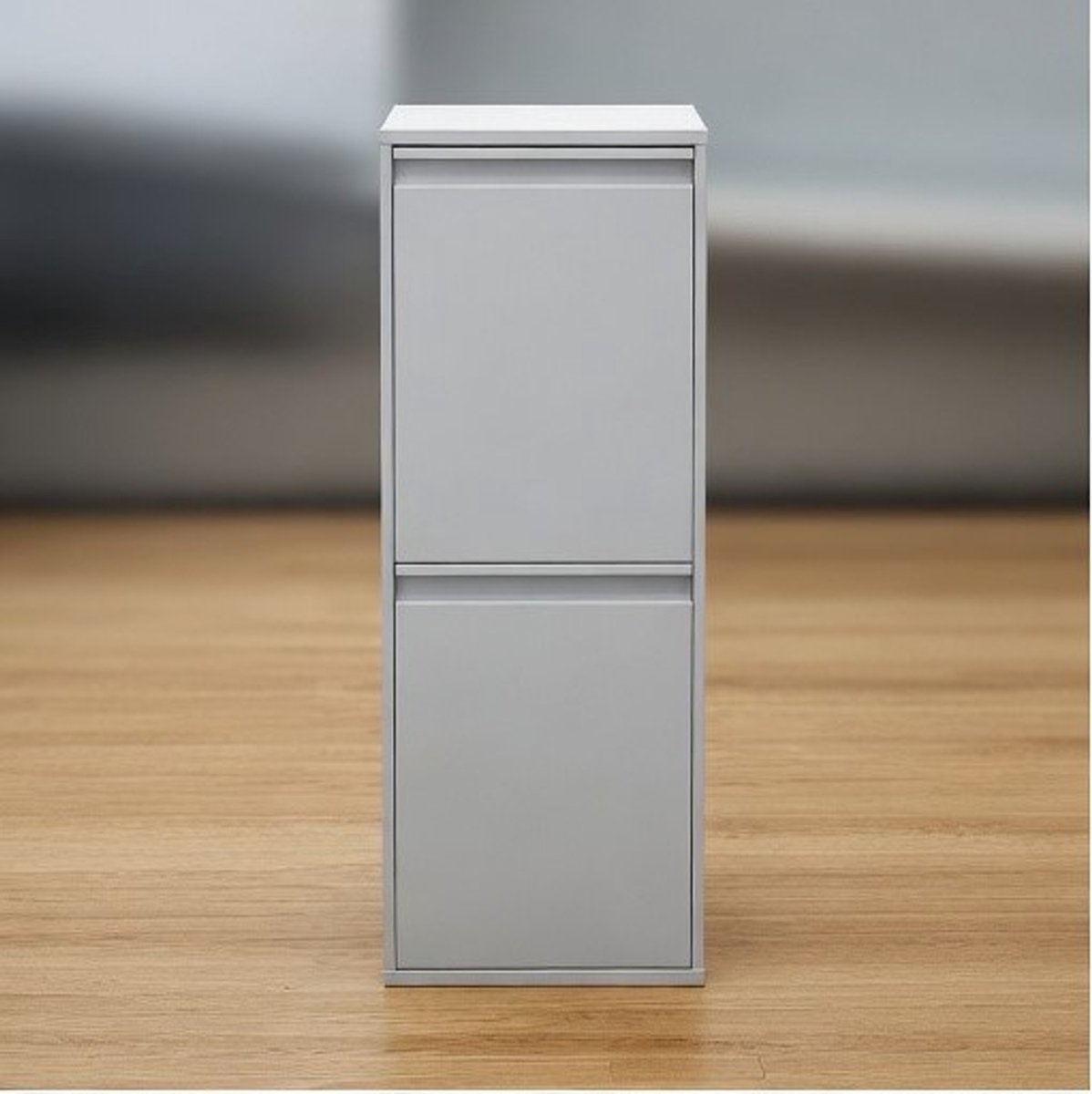 Luxe Dubbele Afvalscheidingskast 34L – Prullenbak met 2 Vakken, Kantelmechanisme, Metalen Afvalemmer voor Keuken & Kantoor – Smal Design, Wandmontage of Vrijstaand – Grijs,Ganeey