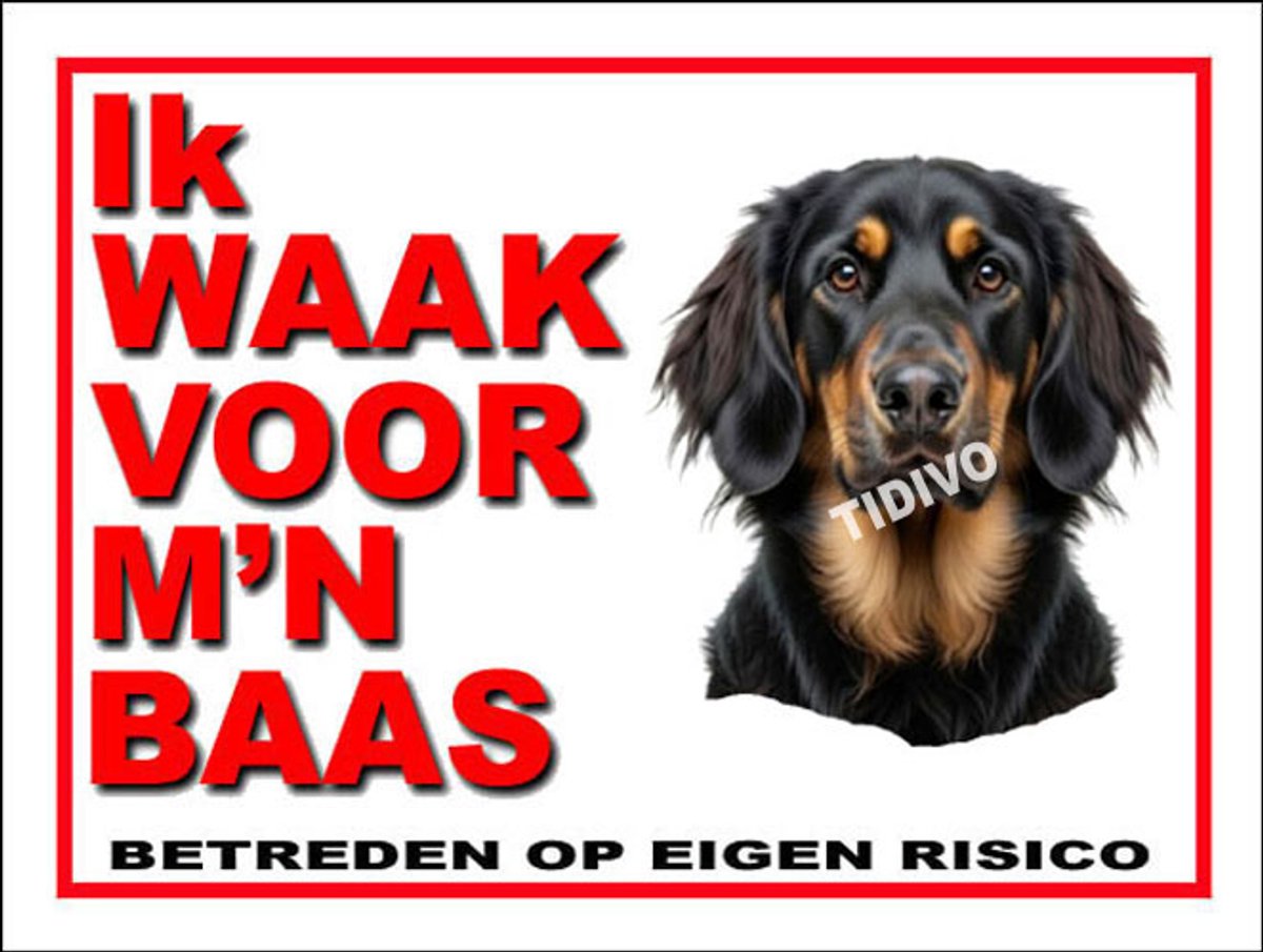 Hovawart 9