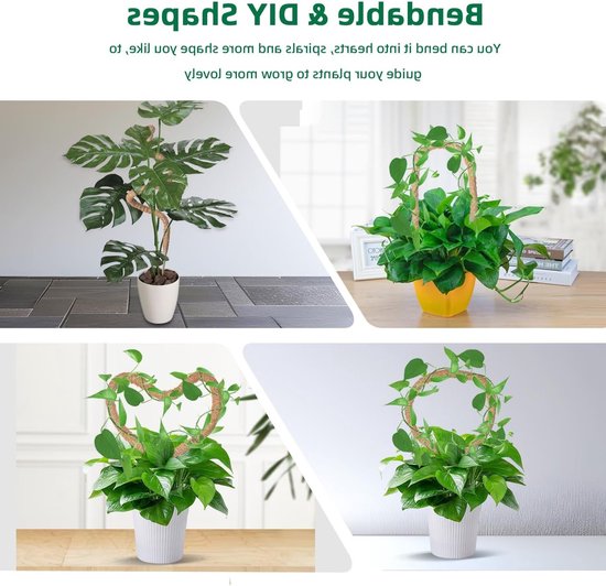 Vouwbare kokosvezel plantsteun voor klimop, monstera en andere kamerplanten - 120 cm hoog — afbeelding 4