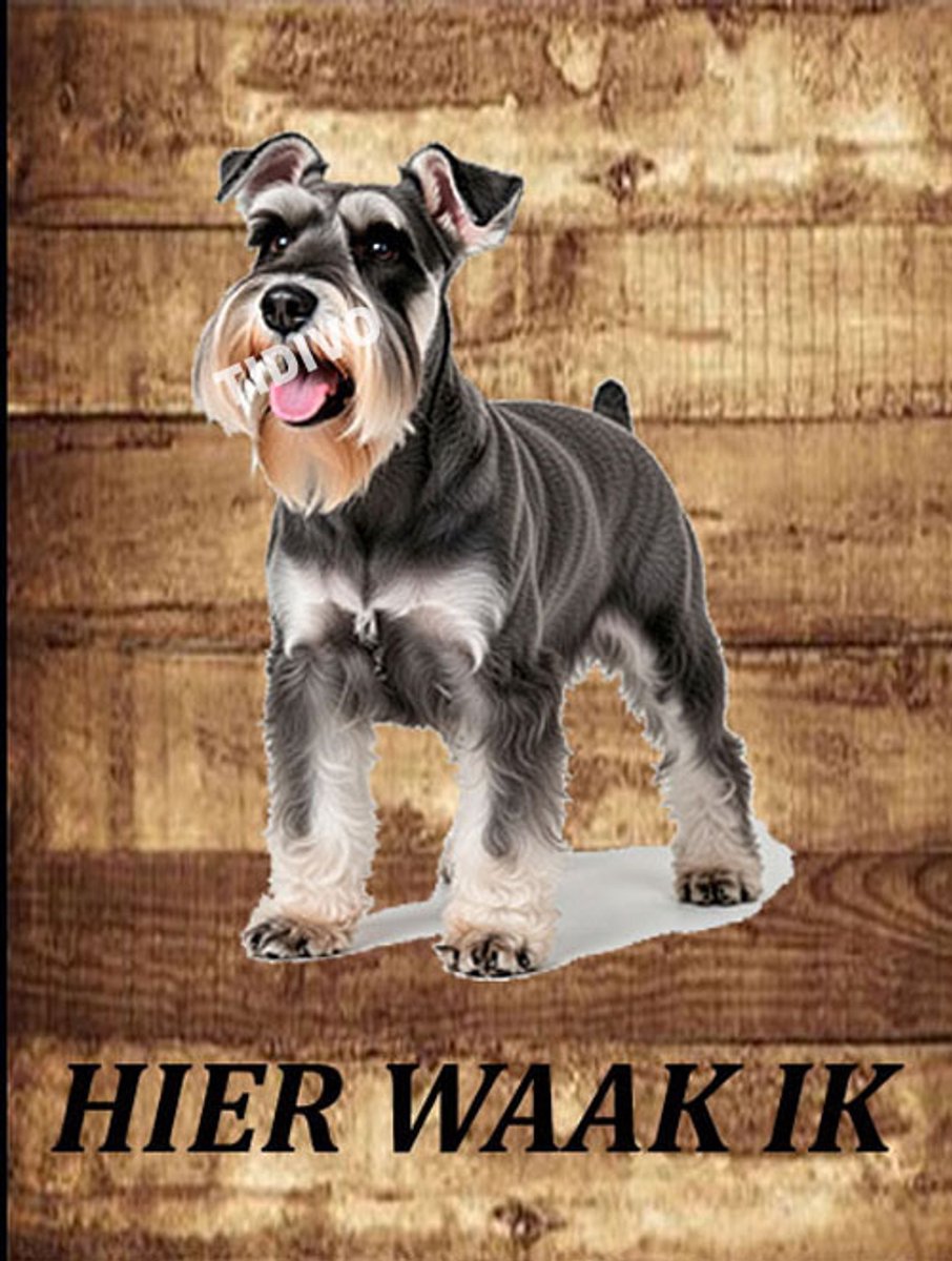 Dwergschnauzer 20