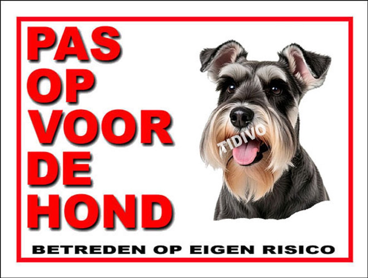 Dwergschnauzer 13