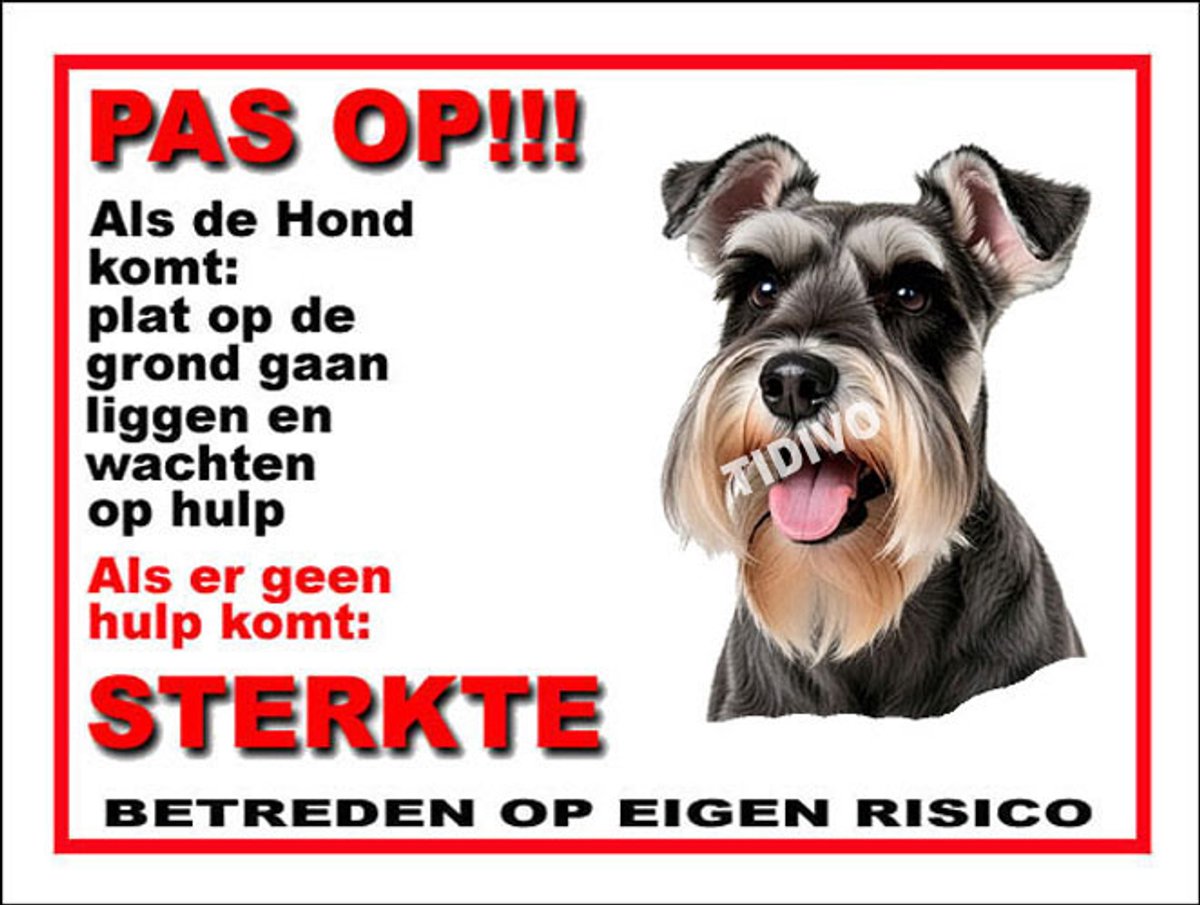 Dwergschnauzer 12