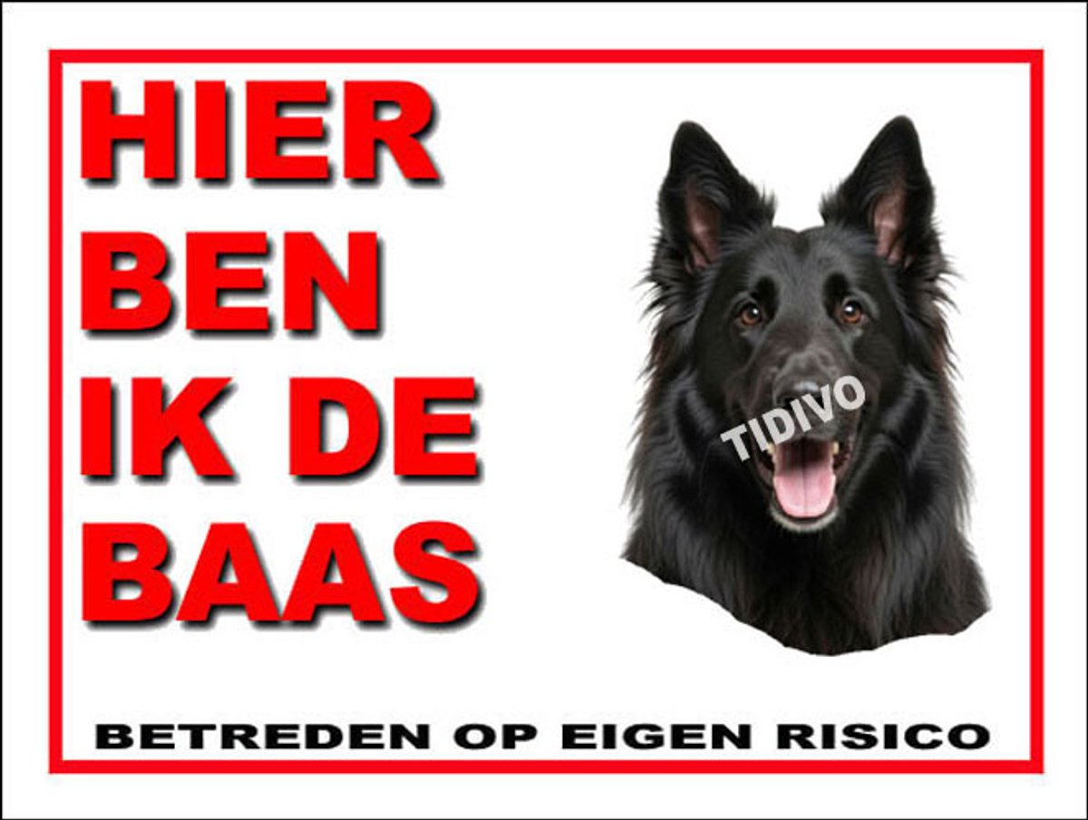 Groenlandhond 2