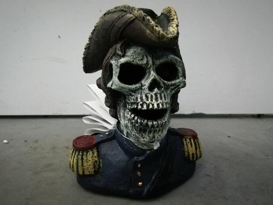 Superfish deco led skull pirate