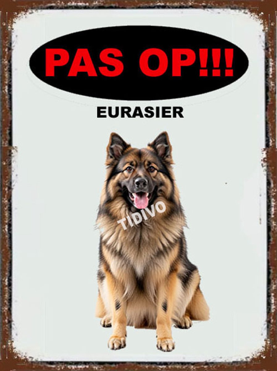 Eurasier 17