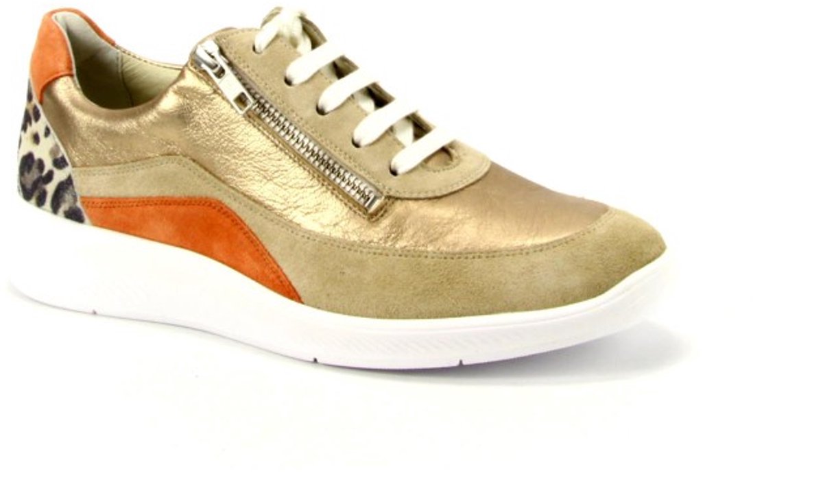 Halea 40613