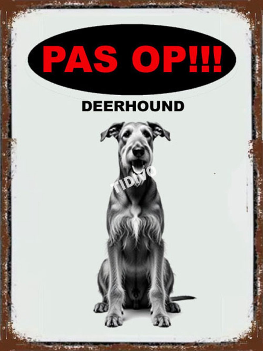 Deerhound 17