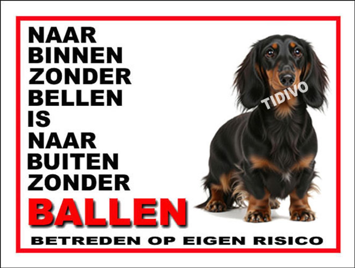 Dashond, Langhaar 11