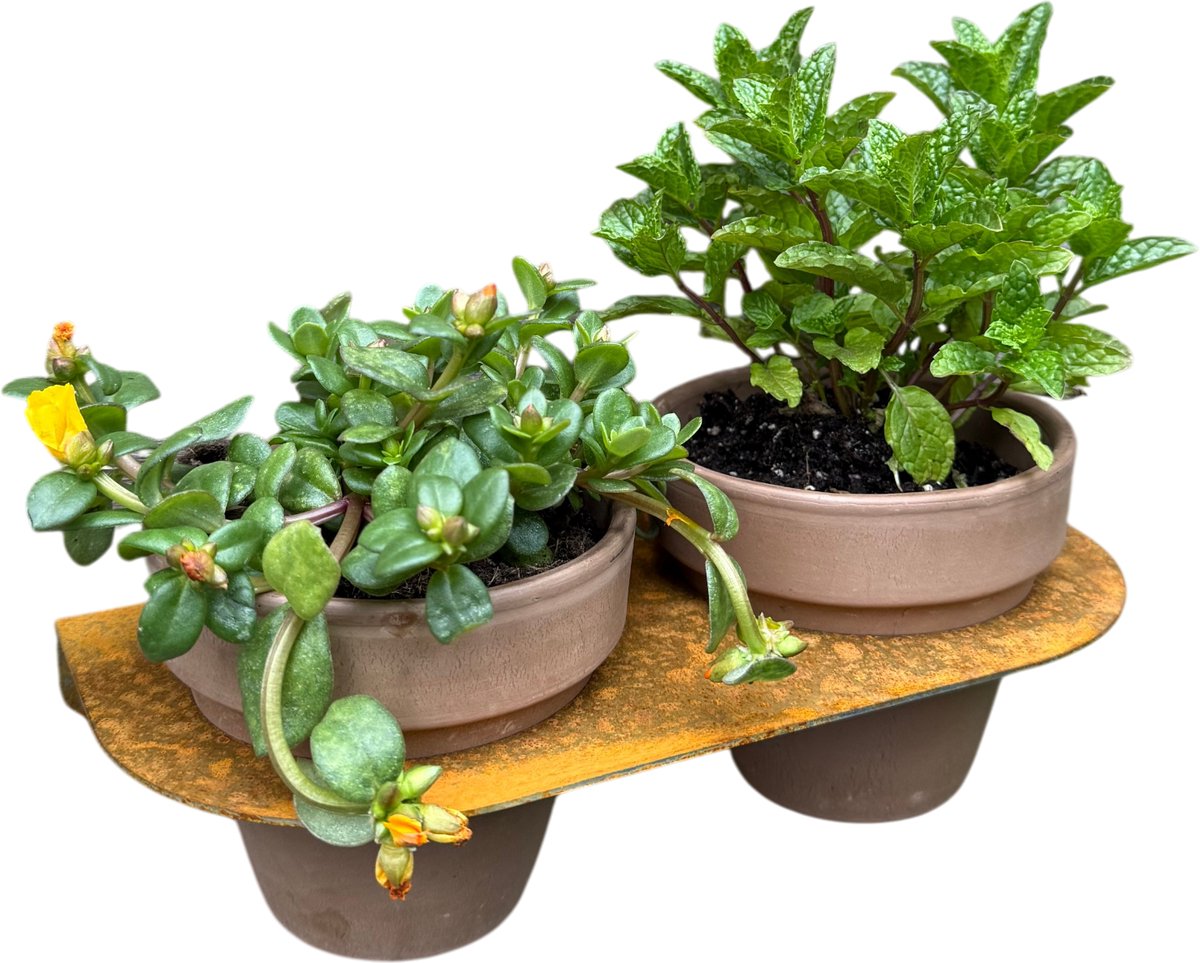Bloempot DUO - CORTENSTAAL / TERRACOTTA - Excl. PLANT