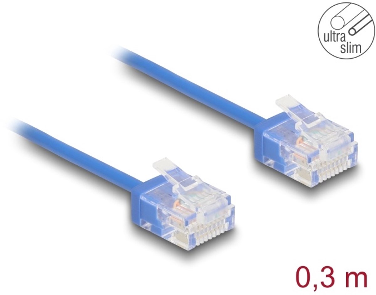 DeLOCK 80778 netwerkkabel Blauw 0,3 m Cat6 U/UTP (UTP)