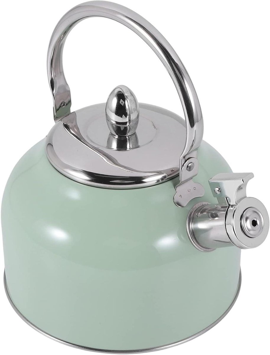 Waterketel Roestvrijstaal - Kookketel Gasfornuis - Water Koken - Hoge Temperatuur Bestendig - 25 Liter - Groen