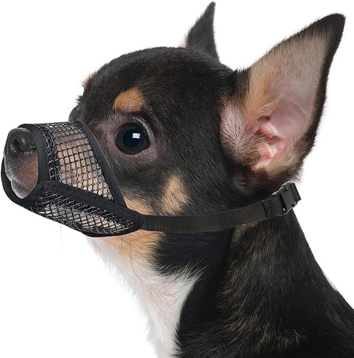 Honden Muilkorf - Korte Snuit - Gedrag Correctie - Ademend Gaas - 2 Maten - Zwart