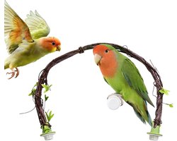Vogelzitstang - Klimspeelgoed Kooi - Vogels Trainen - Buigbaar Takontwerp - 65 cm - Meerkleurig