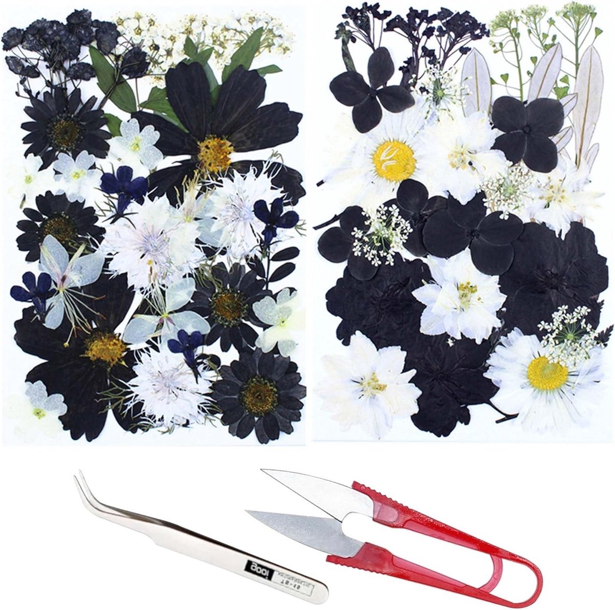 2 Packs Natuurlijke Geperste Bloemen in Zwart en Wit voor Ambachten, Hars, Sieraden en Nagelkunst