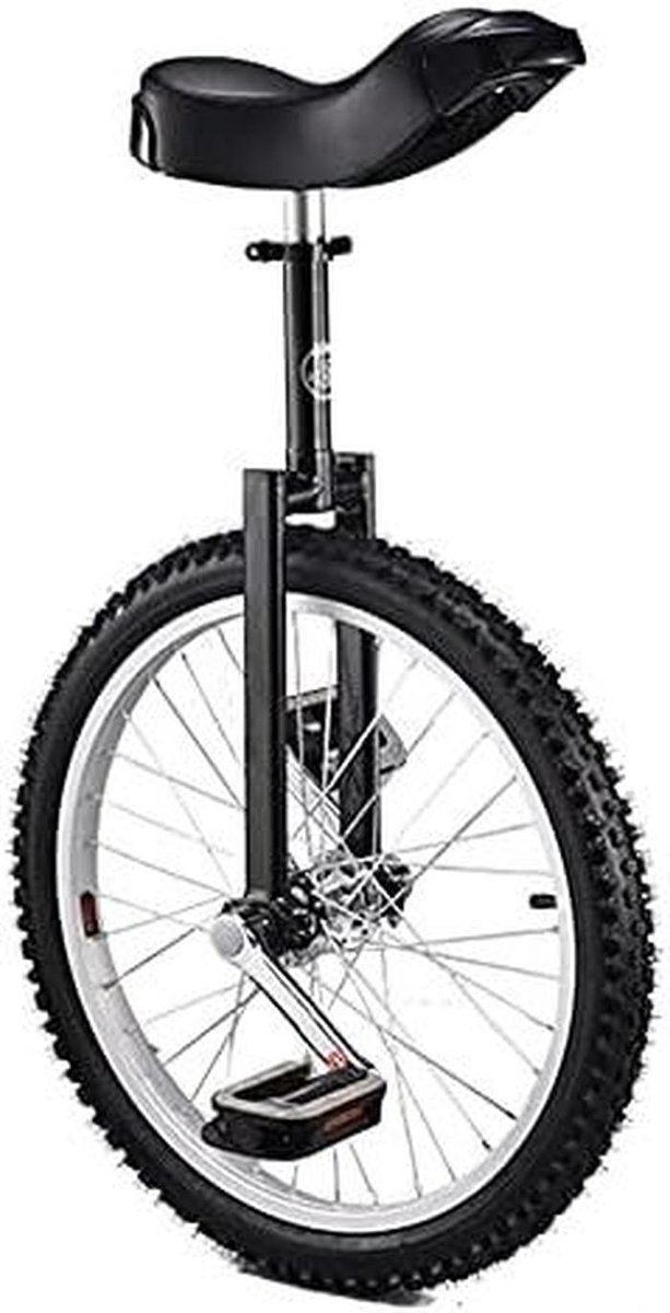 Eenwieler - Balans Hometrainer - Sport en Vrije Tijd - Verstelbare Stoel - 20 Inch Wiel - Zwart