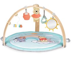 Activity gym Winnie de Poeh hangout - Bright Starts - vanaf 0 maanden