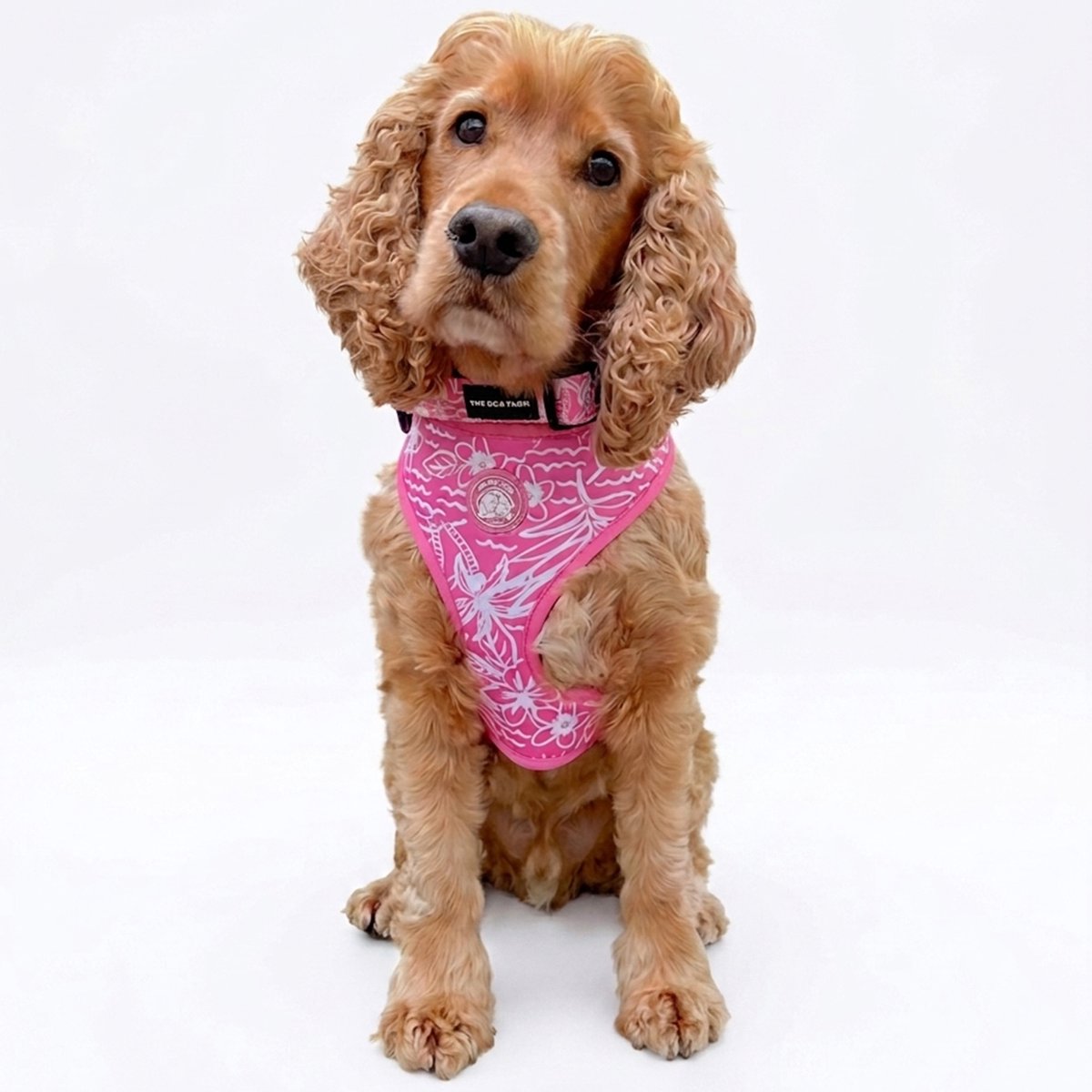 Hondentuigje - Hondenharnas - Y Tuig Hond - Roze - Zomer Print - Maat L - Grote hond - The Dog Farm