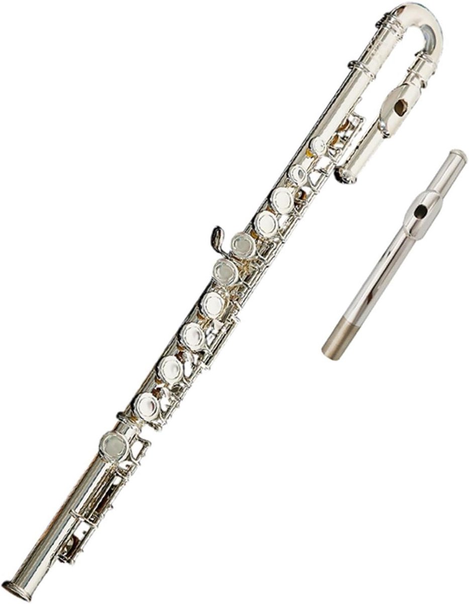 Dwarsfluit - Muziekfluit Instrument - Muziek Maken - Verzilverd Witkoper - One Size - Zilver
