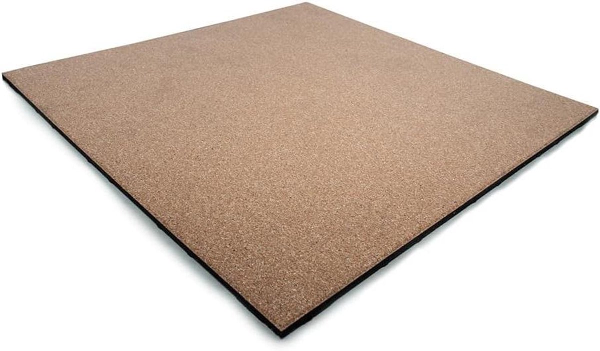 Sportvloer Rubberen Tegel - Fitnessvloer Gymvloer - Bescherming Sporttoestellen - Glad Fijner Oppervlak - 100x100 cm - Strand