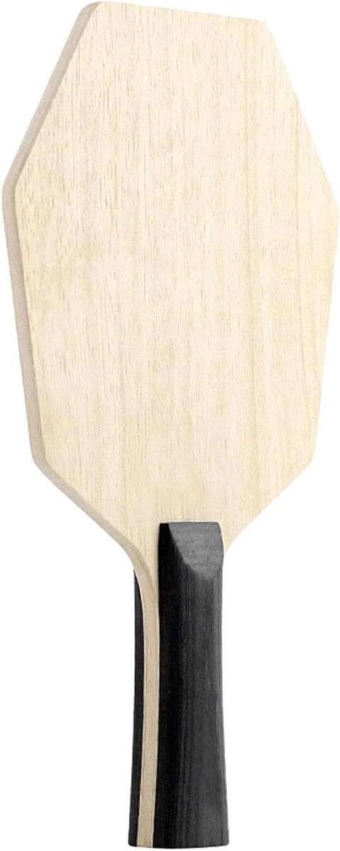 Tafeltennisbatje Grondplaat - Bat Basisplaat - Tafeltennis Oefenen - Uniek Zeshoekig Ontwerp - 262 x 156 cm - Niet gespecificeerd