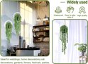Deux plantes vertes retombantes à feuilles rondes dans des anneaux, au-dessus d'un bar à café.