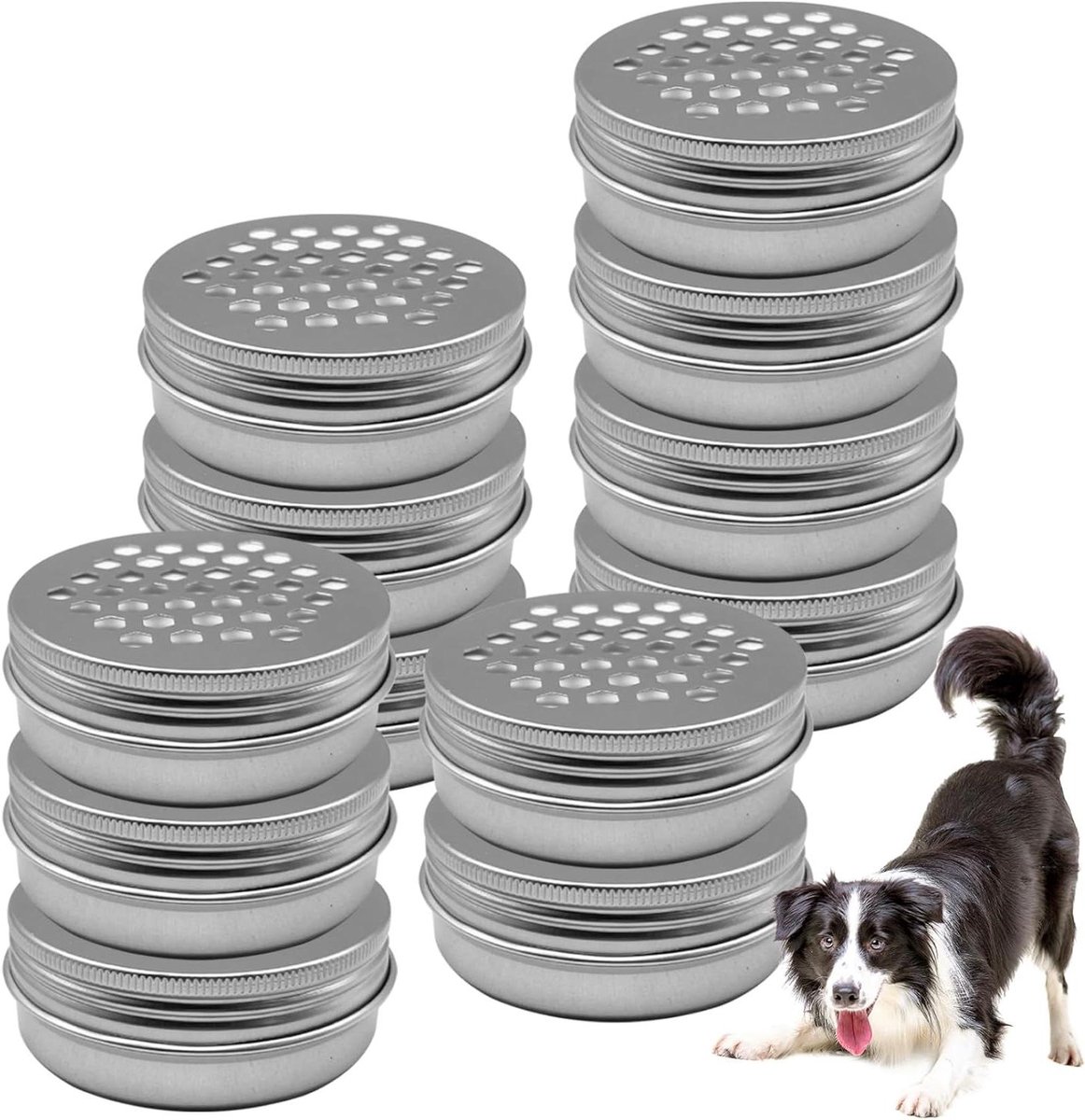 Hondengeur Trainingsset - Honden Neus Werkkit - Hondengeur Training - Hol Ontwerp met Gaten - 12 stuks - Zilver