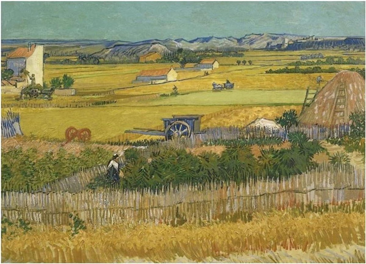 Kunstpuzzel 1000 stukjes - Landschap Legpuzzel - Ontspannen Tijdverdrijf - Klassiek Zomerlandschap - 68 x 49 cm - Meerkleurig