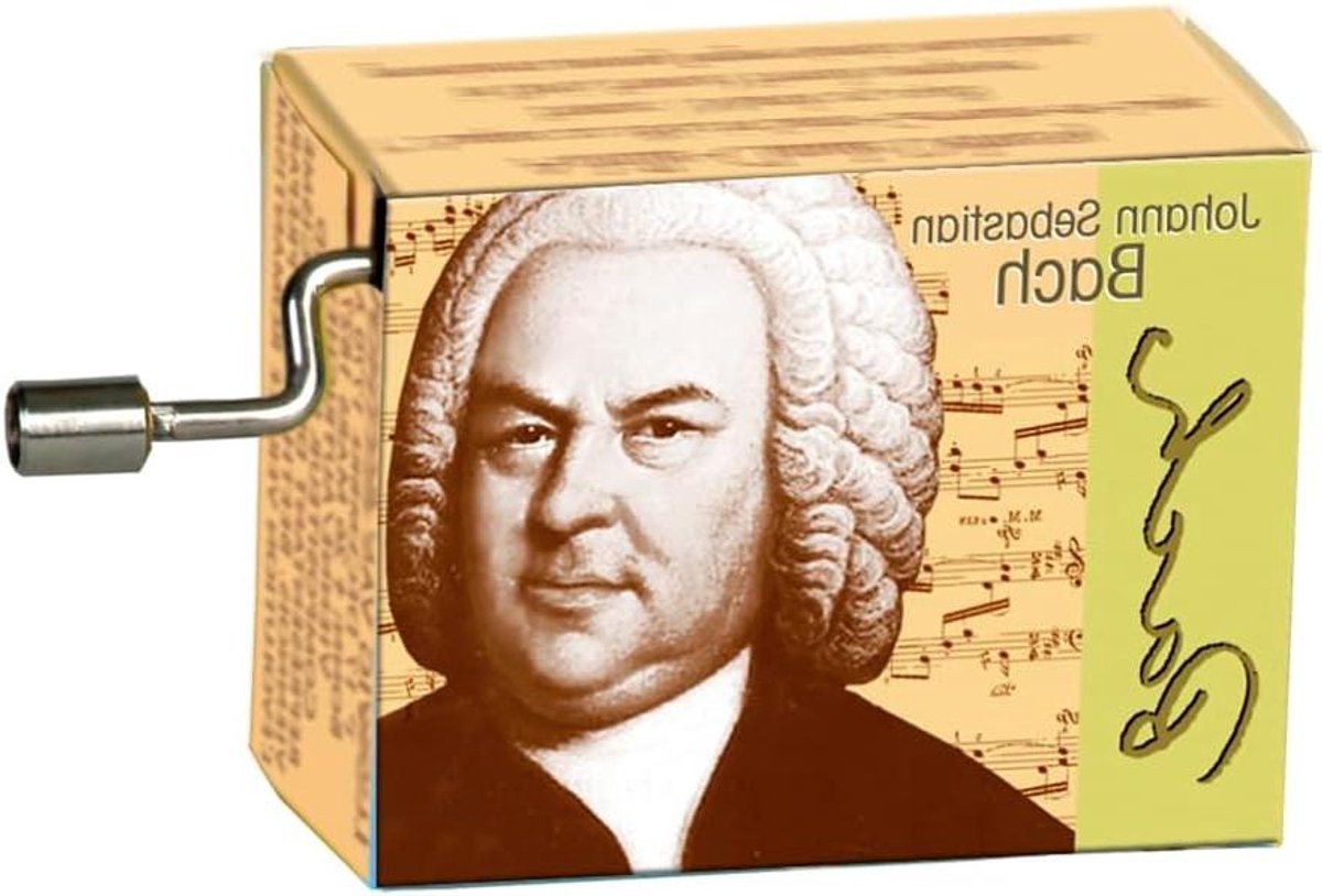 Muziekdoos - Speeldoos Melodie - Ontspanning Luisteren - Houten Resonantiebord - 10-12 cm - Natuurlijk