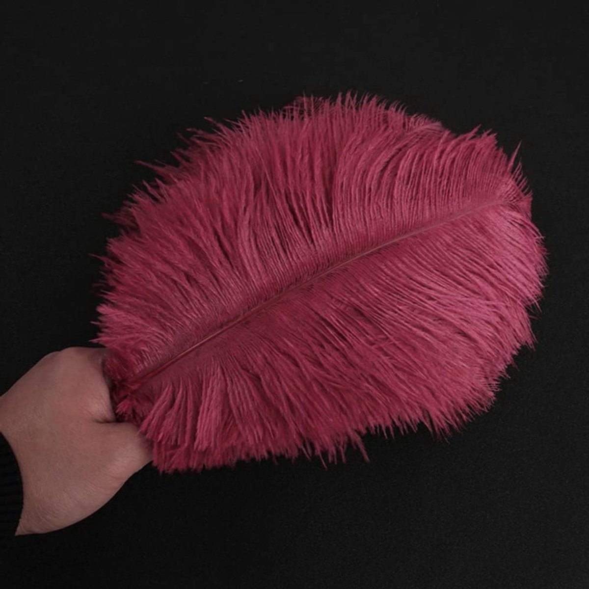 Pakket met 10 Natuurlijke Struisvogelveertjes van 25-30 cm voor Creatieve Projecten en Decoratie, Ideaal voor Dromenvangers, Kostuums en Bruiloften