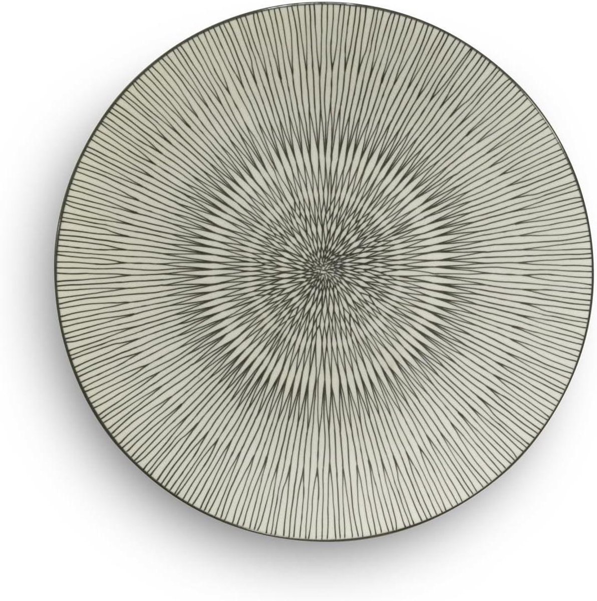 Platte borden - Dinerborden set - Eten serveren - Vaatwasmachinebestendig - 27 cm - Zwart