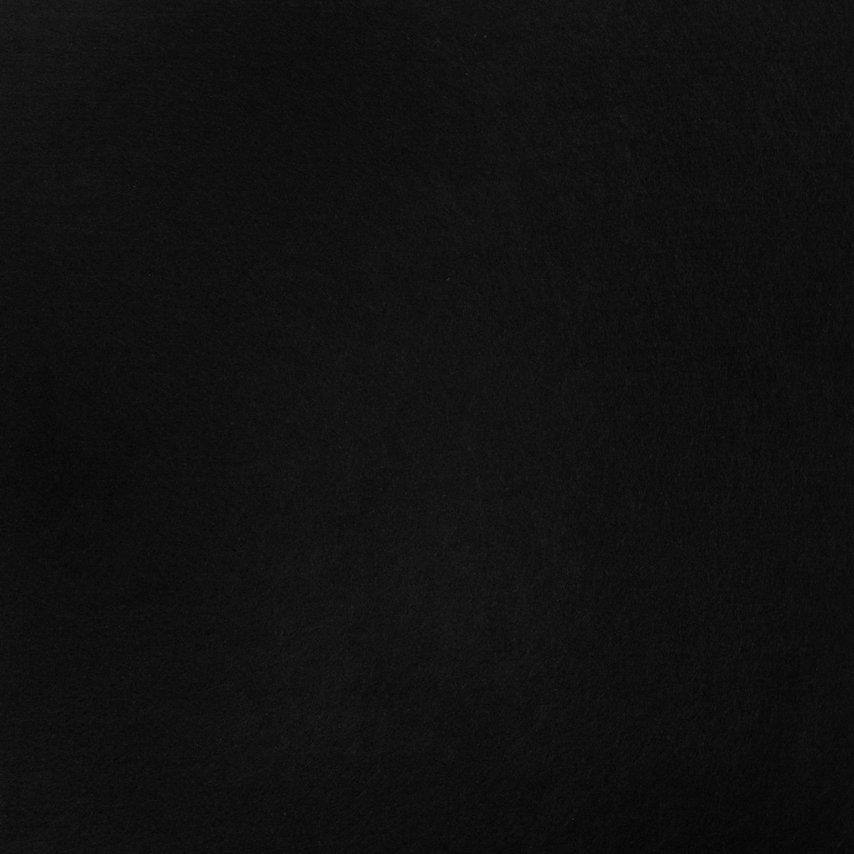 Wandpaneel vilt, zwart - 2970 x 1220 mm | 9mm dik | Verbetert de akoestiek | Eenvoudige montage | Wanddecoratie