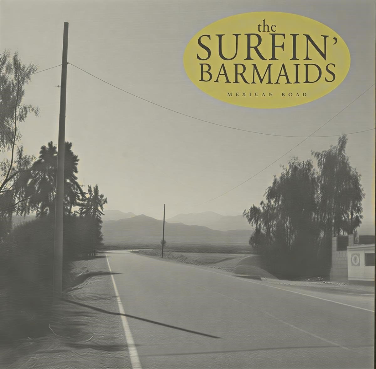 The Surfin' Barmaids - Mexican Road (10" LP)