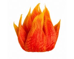 Oranje Pruik - Holland - EK - Koningsdag - Feest - WK - Accessoire - Pruiken - Oranje - Nederland - Oranje Decoratie – Versiering - Verkleedkleding - Oranje Kleding