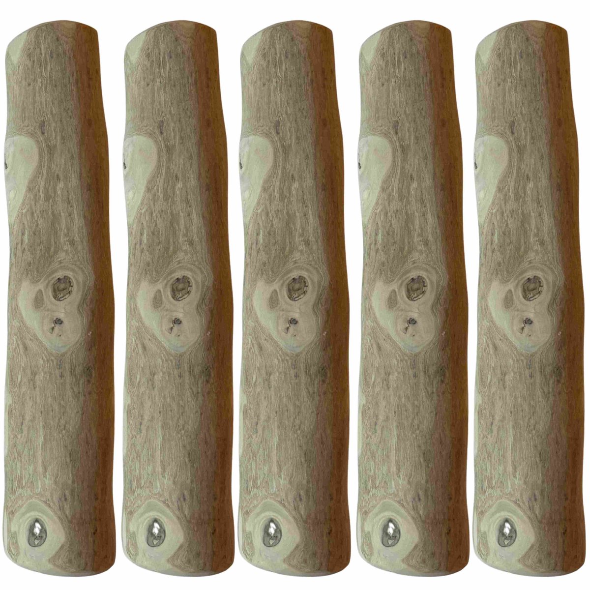 Boris & Lotje Koffieboom Kauwwortel Hond M (15–17 cm) - 5 Stuks - Hondensnack - Kauwstaaf - Harde Kauwsnack - Hypoallergeen - Coffee Wood