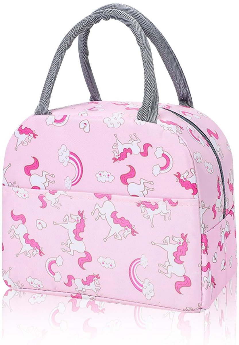 Dailygoods- Koeltas Kleine Draagbare - Thermotas - Lunchtas - Isothermische Tas - Roze - Oxford-Stof 23x14x20 cm