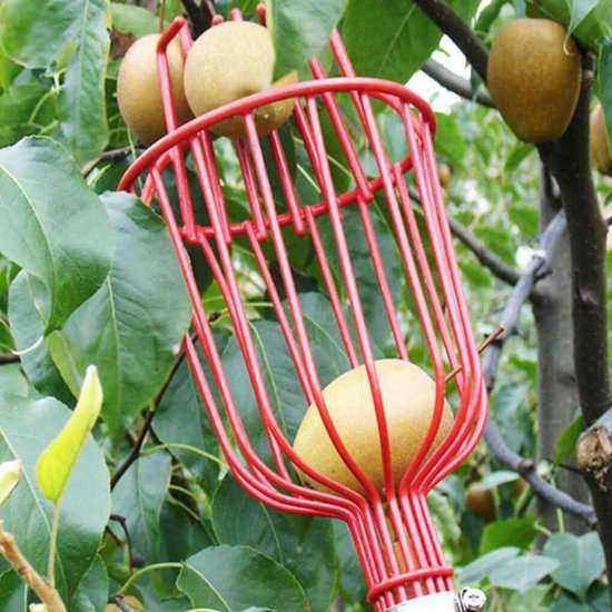 Fruitplukker Mand - Fruitgrijper Tool - Fruit Verzamelen - Telescopische Bereik - Tot 6 Meter - Blauw — afbeelding 2