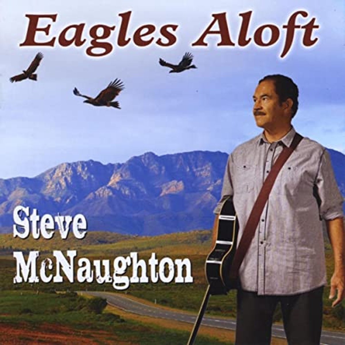 EAGLES ALOFT - Steve McNaughton (c)2013