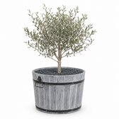 Storm Plantenbak Rond L - 55x38 cm - Geborsteld Grijs - Acaciahout FSC - voor Binnen, Buiten en Balkon - Boomkuip