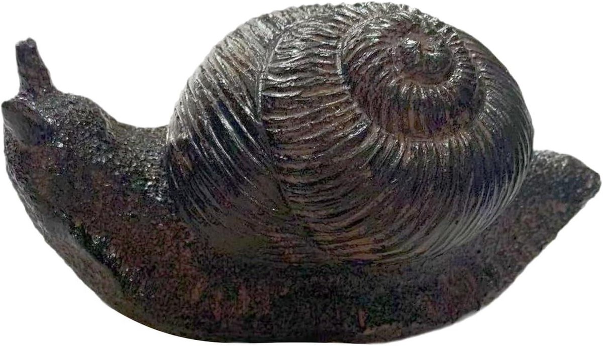 Geldverstopplaats - Geheime opberger - Waardevolle spullen bewaren - Gedetailleerd slakkenhuis design - 14 cm lengte - Bruin