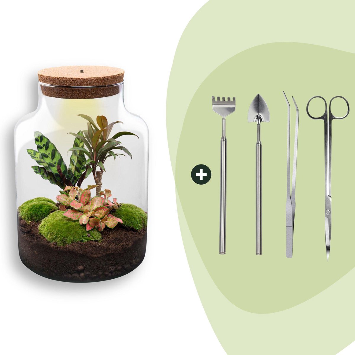 Terrarium - Milky - ↑ 31 cm - Ecosysteem plant - Kamerplanten - DIY planten terrarium - Mini ecosysteem