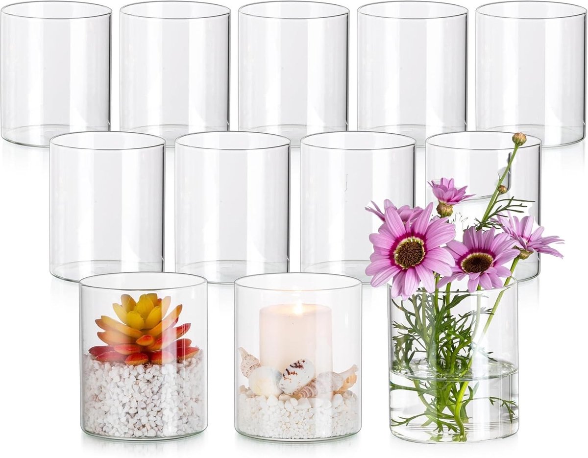 Dailygoods- Glazen Vaas - 12 Stuks - 10 cm Hoog - Cilinder - Tafeldecoratie - Transparant - Ideaal voor Bloemen en Droogbloemen - Bloemenvaas