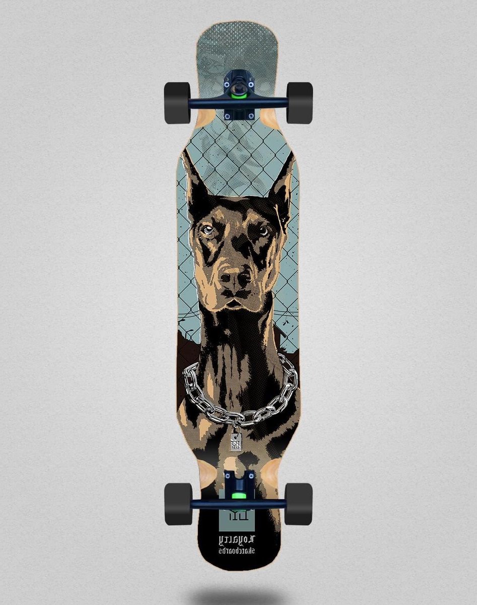 Longboard Compleet Skateboard Plank Cruisen Door Stad Grote Stabiliteit 46 x 10 Inch