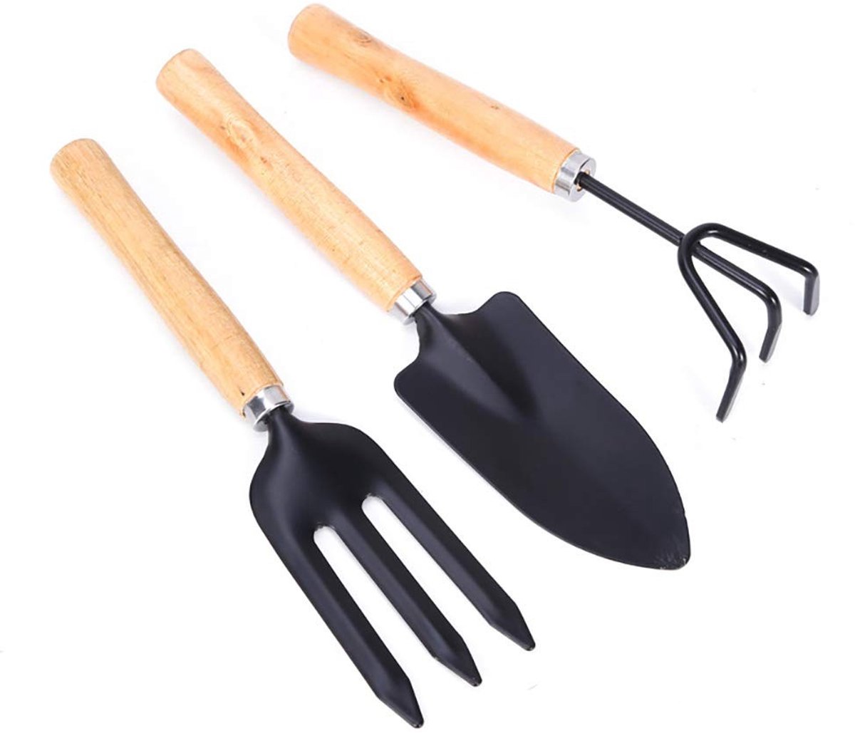 Dailygoods- Tuingereedschapsset 3-delig - Handgereedschap - Houten handvatten - Koolstofrijk staal - Sterk en duurzaam - Voor verplanten en wieden - Tuinset