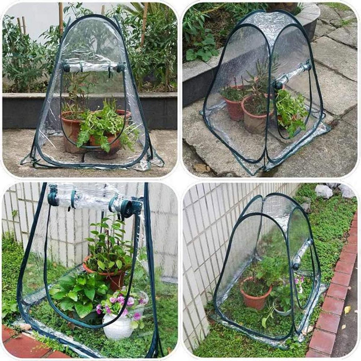 Plant Kas Cover - Mini Tuin Tent - Bescherming Planten - Snelle Opzet - 37 x 37 cm - Transparant
