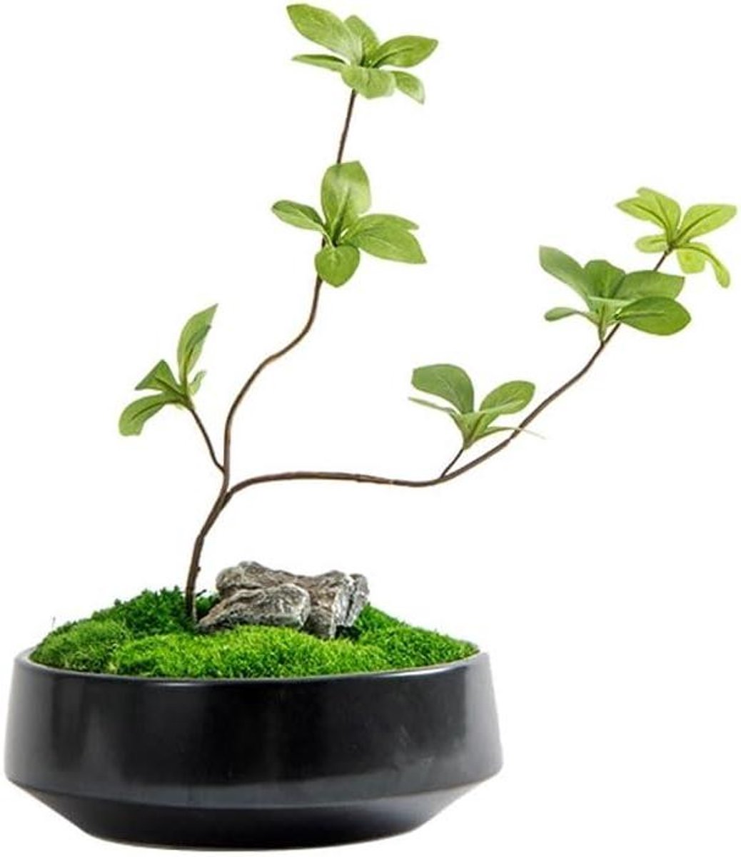 Kunstplant Ornament - Imitatie Boom - Interieur Decoratie - Realistisch Uiterlijk - 27x18x33cm - Groen