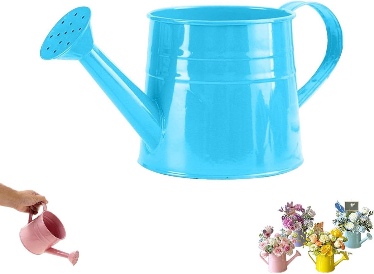 Metalen Gieter - Plantenbewateraar - Planten Verzorgen - Afneembare Tuit - 1 Liter - Blauw