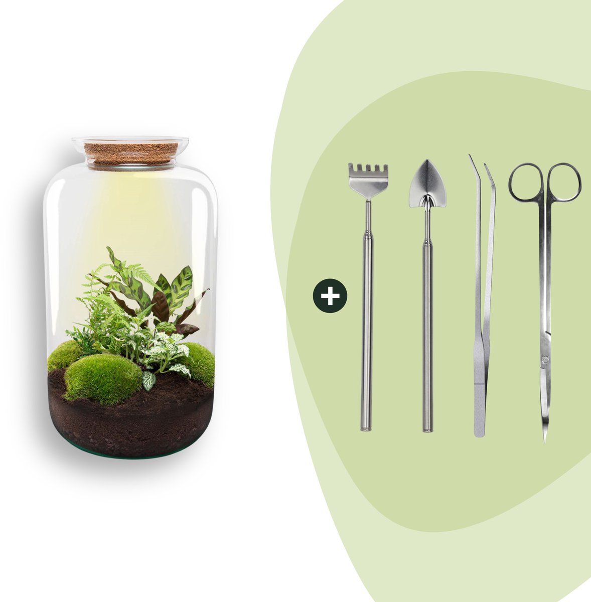 DIY terrarium - Botanical Sven XL - 43 cm -