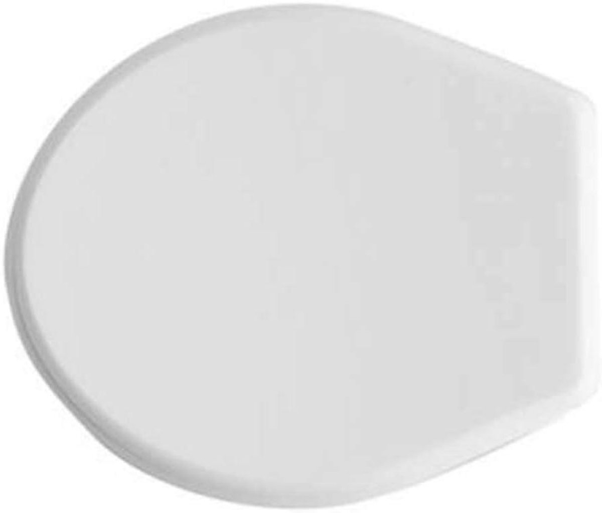 Toiletbril - Zitting - Badkamer Vernieuwen - Roestvrij Staal - 20x20 cm - Meerkleurig